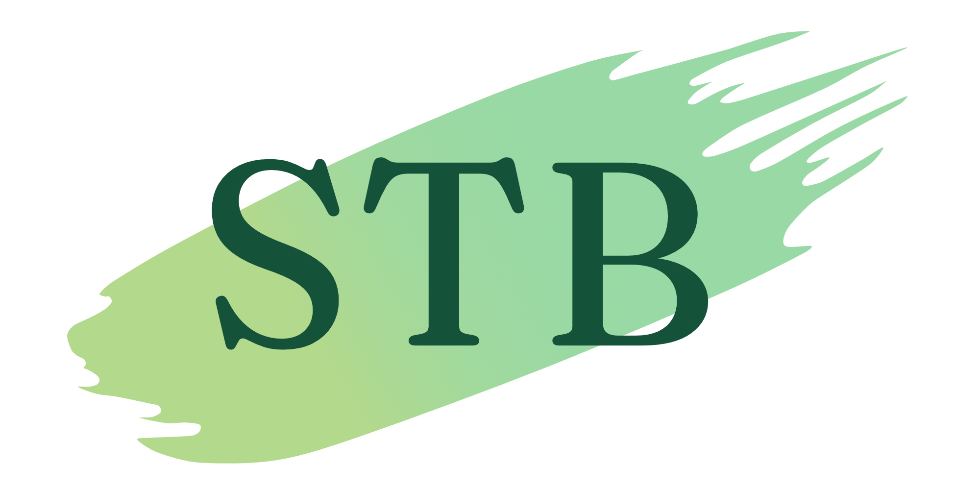 STB-Logo